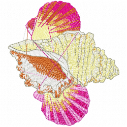Seashell Embroidery Design 8
